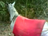 [ Beastiality Porn XXX ] guy enjoys fucking his horse while alone on a field